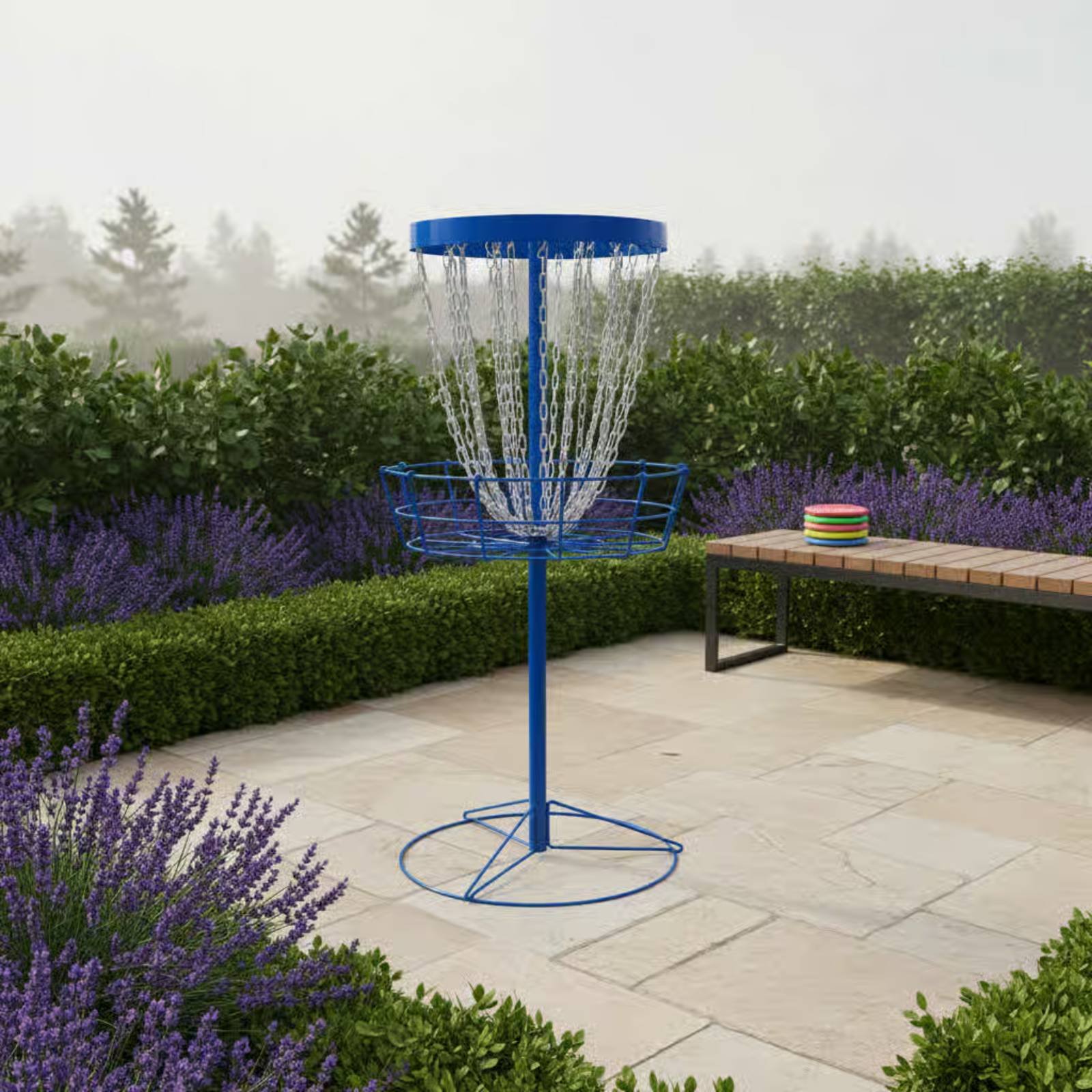 Disc Golf Training Basket Easy - Practice Equipment For Golf 리뷰 및 가격